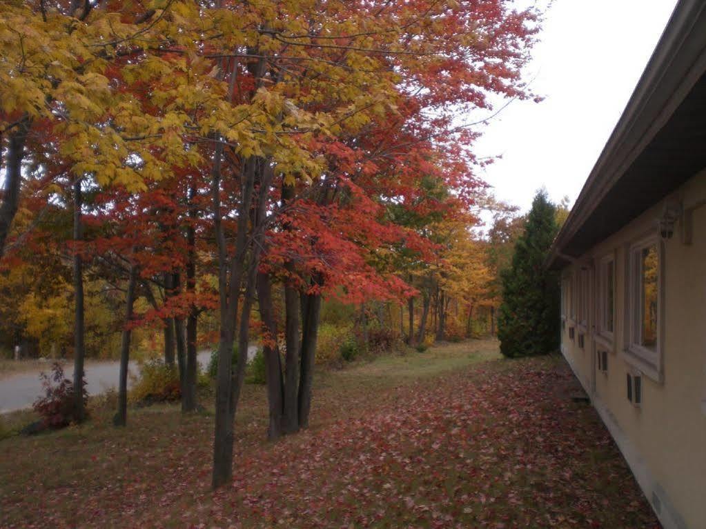 Auberge Eldo Inn Blind River Zewnętrze zdjęcie